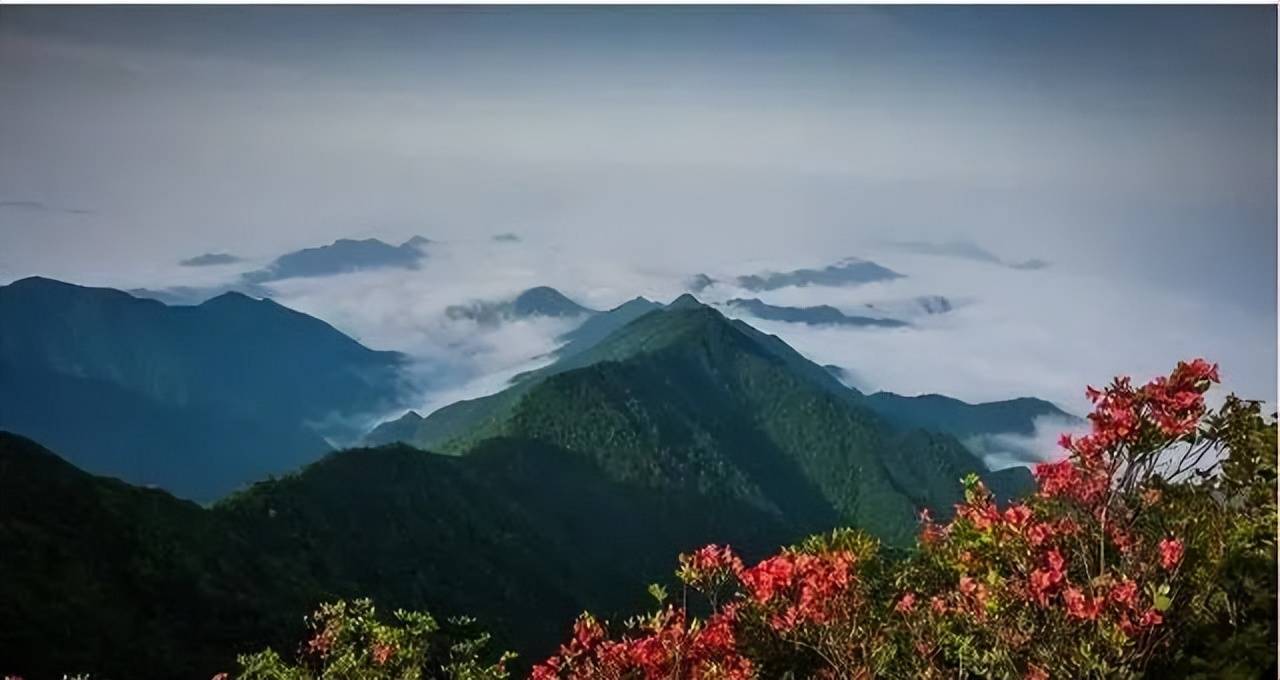 ”万亿市场的崛起与银发文旅的机遇开元棋牌网站“康养+旅居+疗愈(图8)